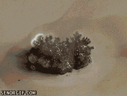 20 Amazing Chemical Reaction GIFs 9